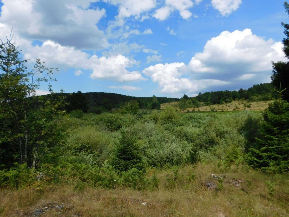 Home, Plitvice Lakes National Park Holiday home