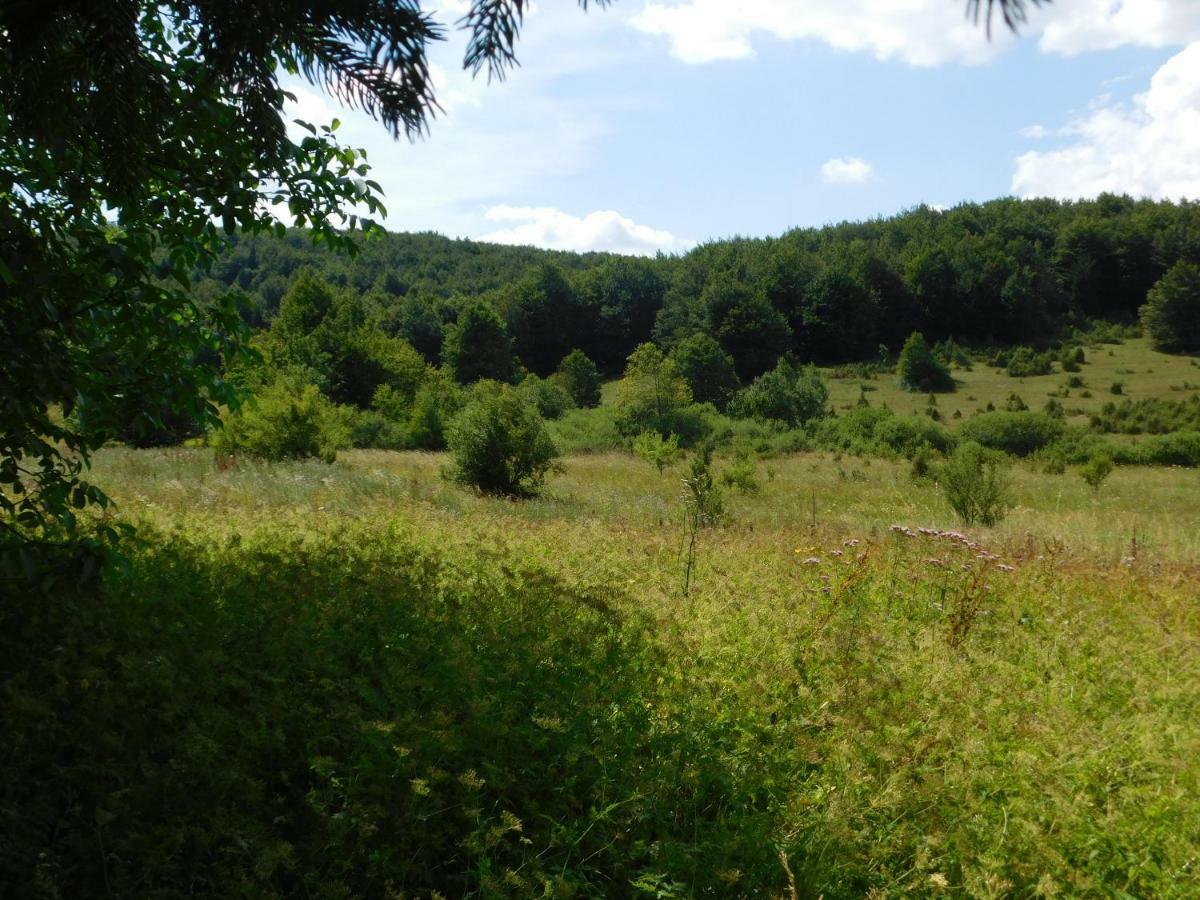 Holiday home Home, Plitvice Lakes National Park