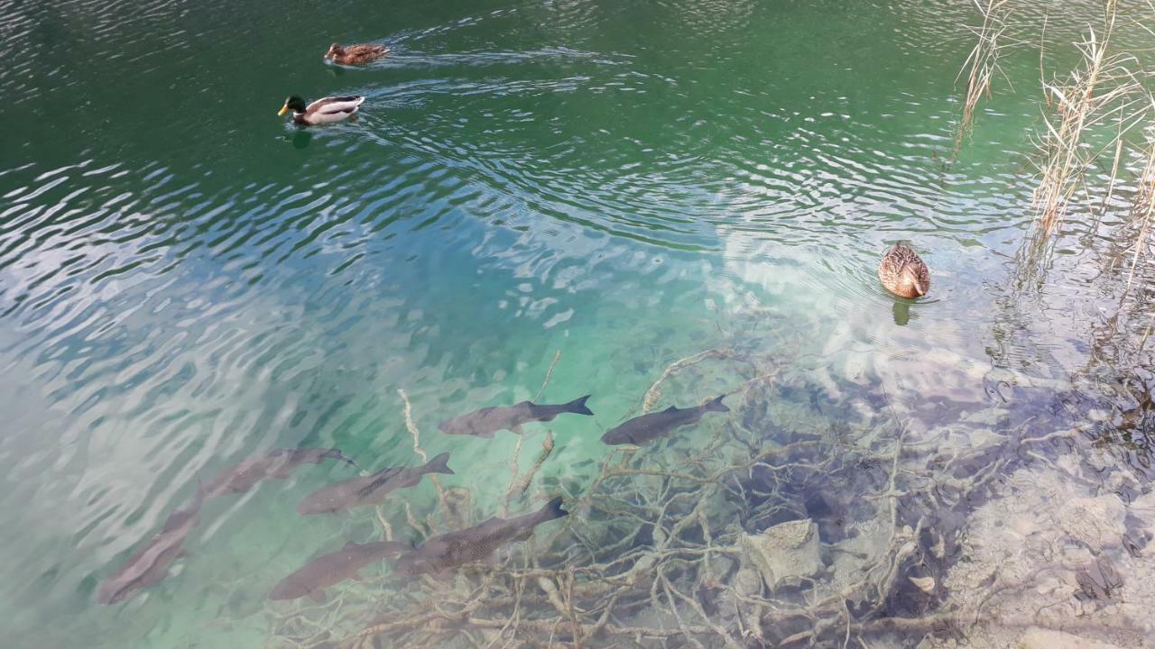 Home, Plitvice Lakes National Park * Plitvicka Jezera