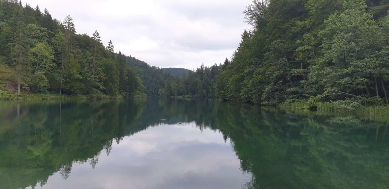 Home, Plitvice Lakes National Park Holiday home