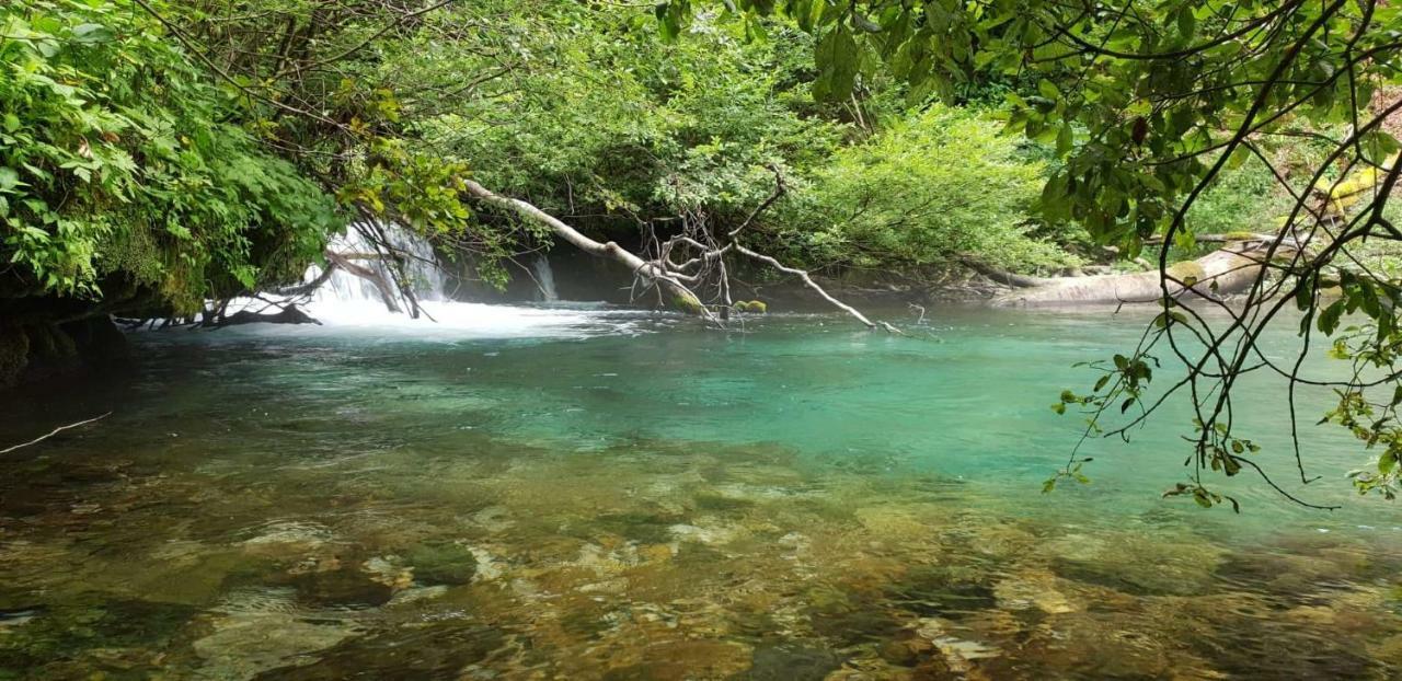 Home, Plitvice Lakes National Park